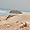 Epave du Cabo Santa Maria à Praia da Atalanta