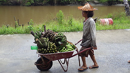 Vendeur de bananes