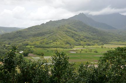Vallée d'Hanaleï, Hawaii