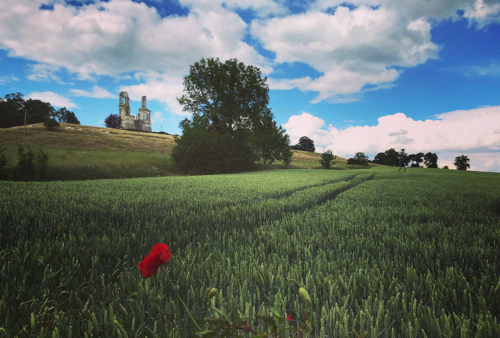 Promenade dans les collines de l’Artois