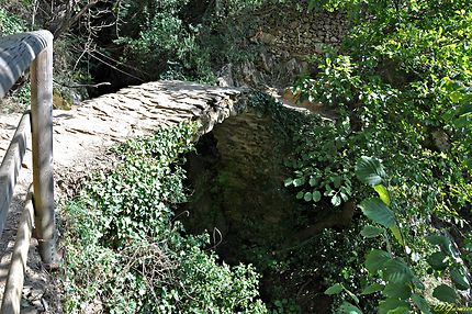 Pont antique à Monterosso al Mare