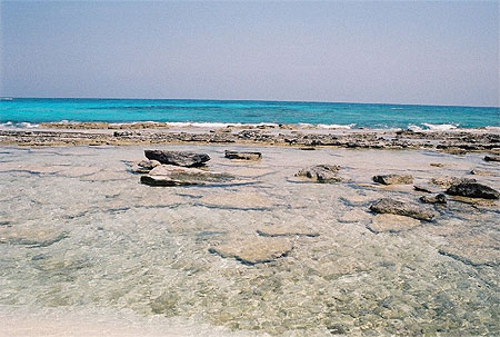 Piscine naturelle Piscine naturelle