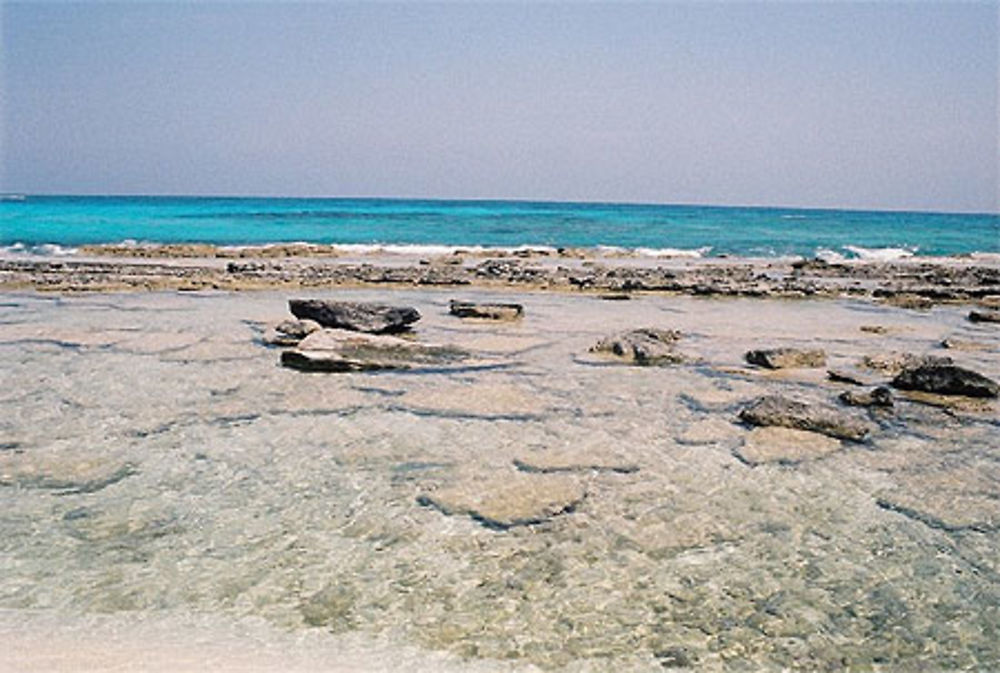 Piscine naturelle