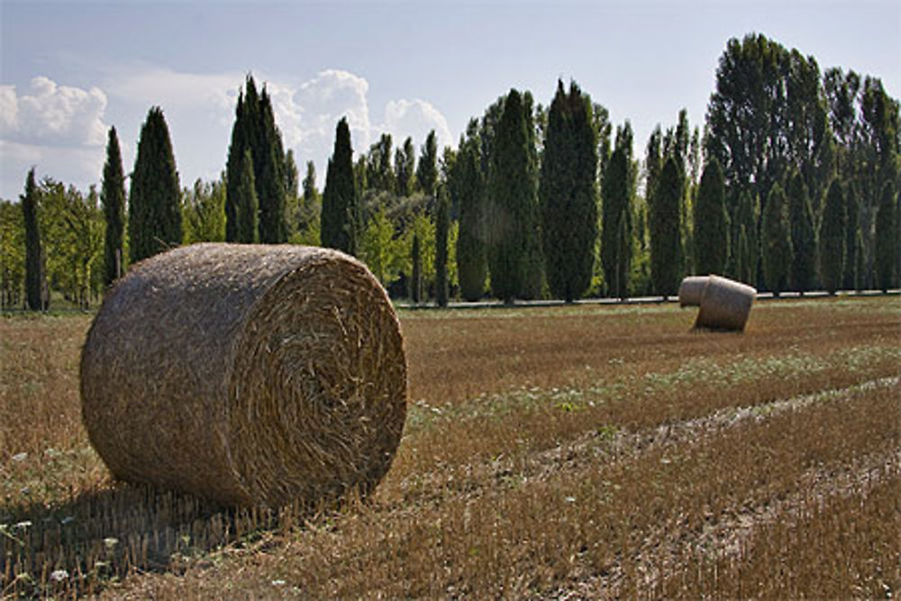 Une vue pas bollot