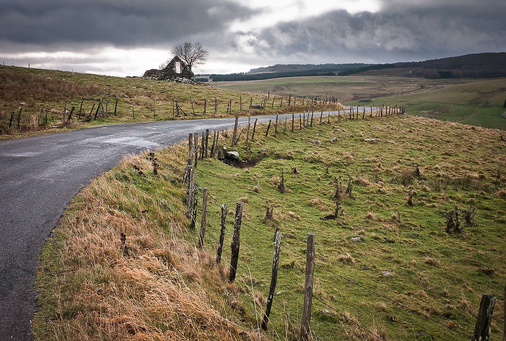 Plateau de l'Aubrac