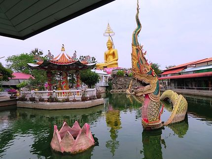 Wat Nong Yai, Pattaya, le bassin aux tortues