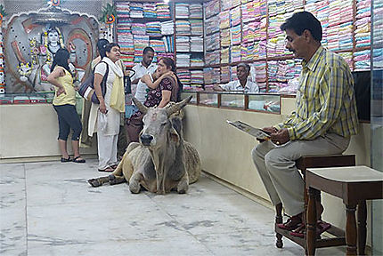 Shopping à Benares