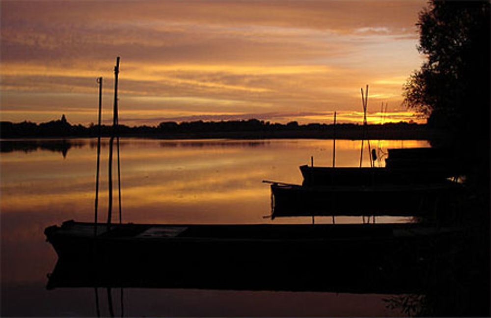 Ombres Ligeriennes