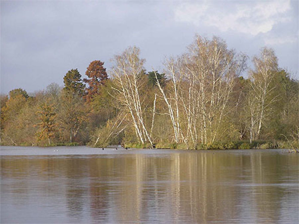 Marais de Fontenay le Vicomte