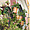 Séville - Joli balcon fleuri