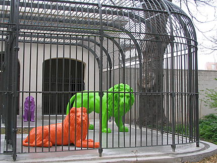 La cage aux lions Funny Zoo