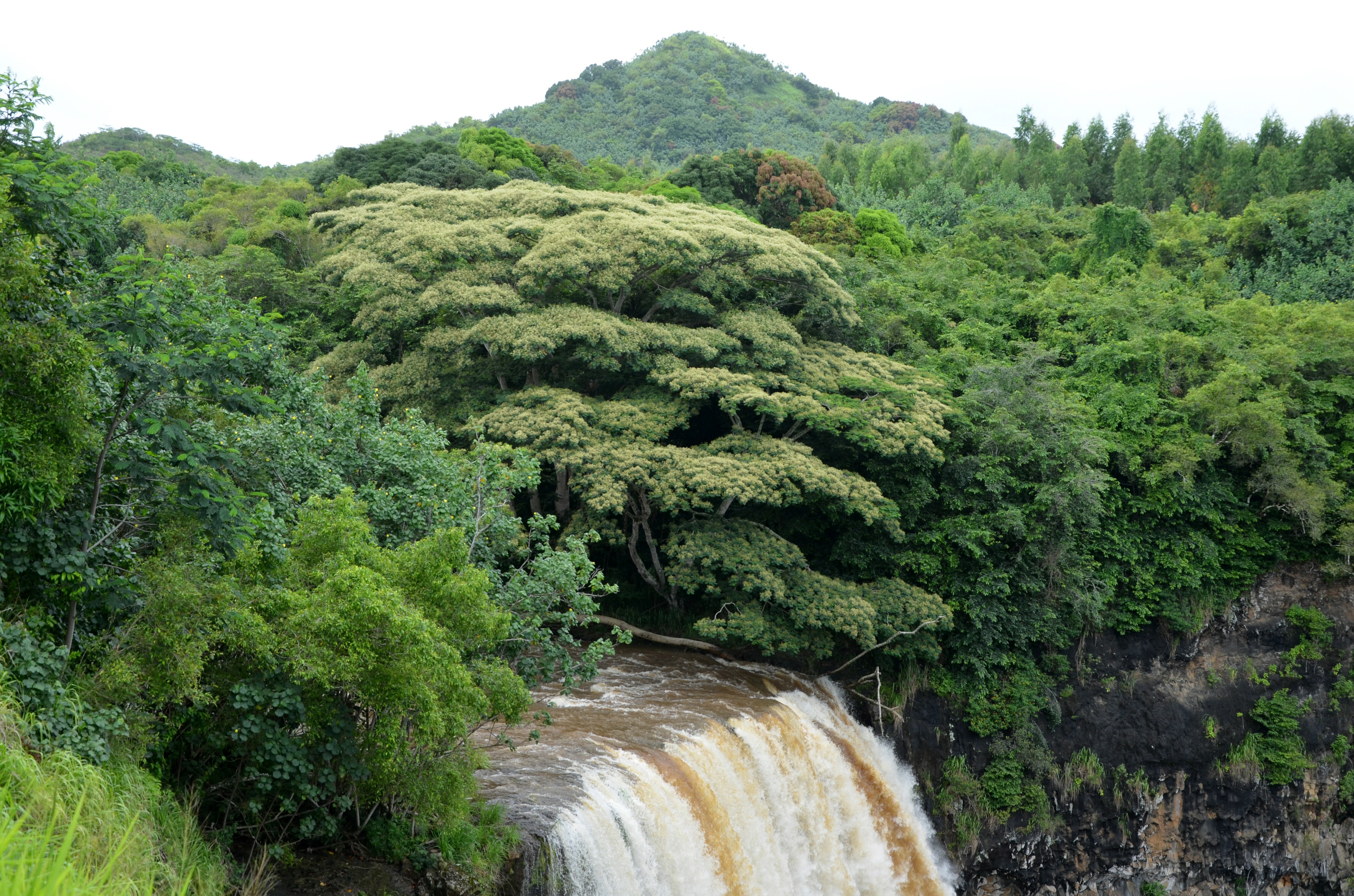 Chute de Waimea, Hawaii Chute de Waimea, Hawaii