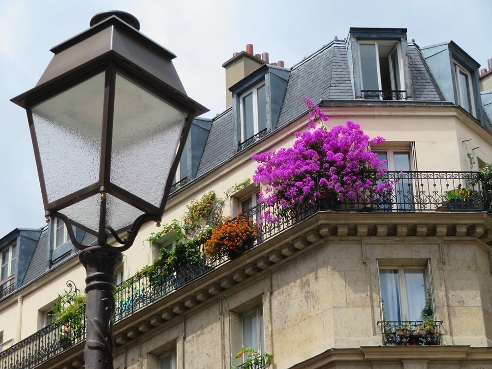 Un été à Paris 