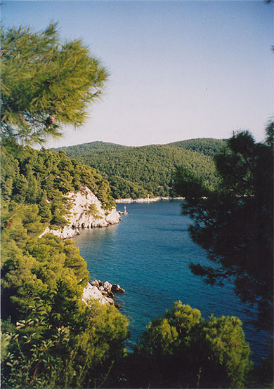 L'île verte L'île verte