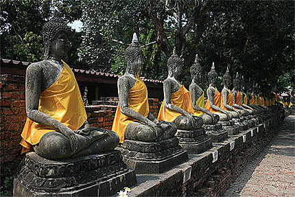 Rangée de bouddhas
