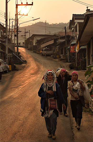 Ramasseuses de Thé Ramasseuses de Thé