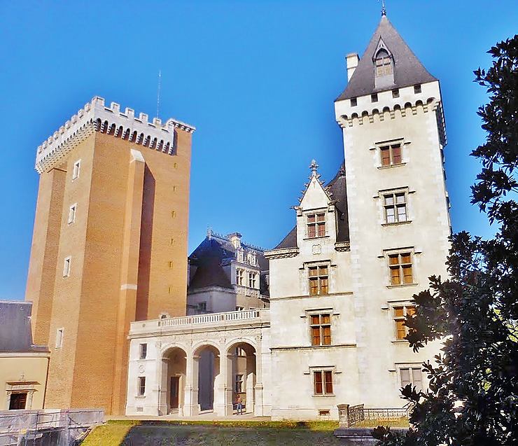 Château de Pau - Robin82