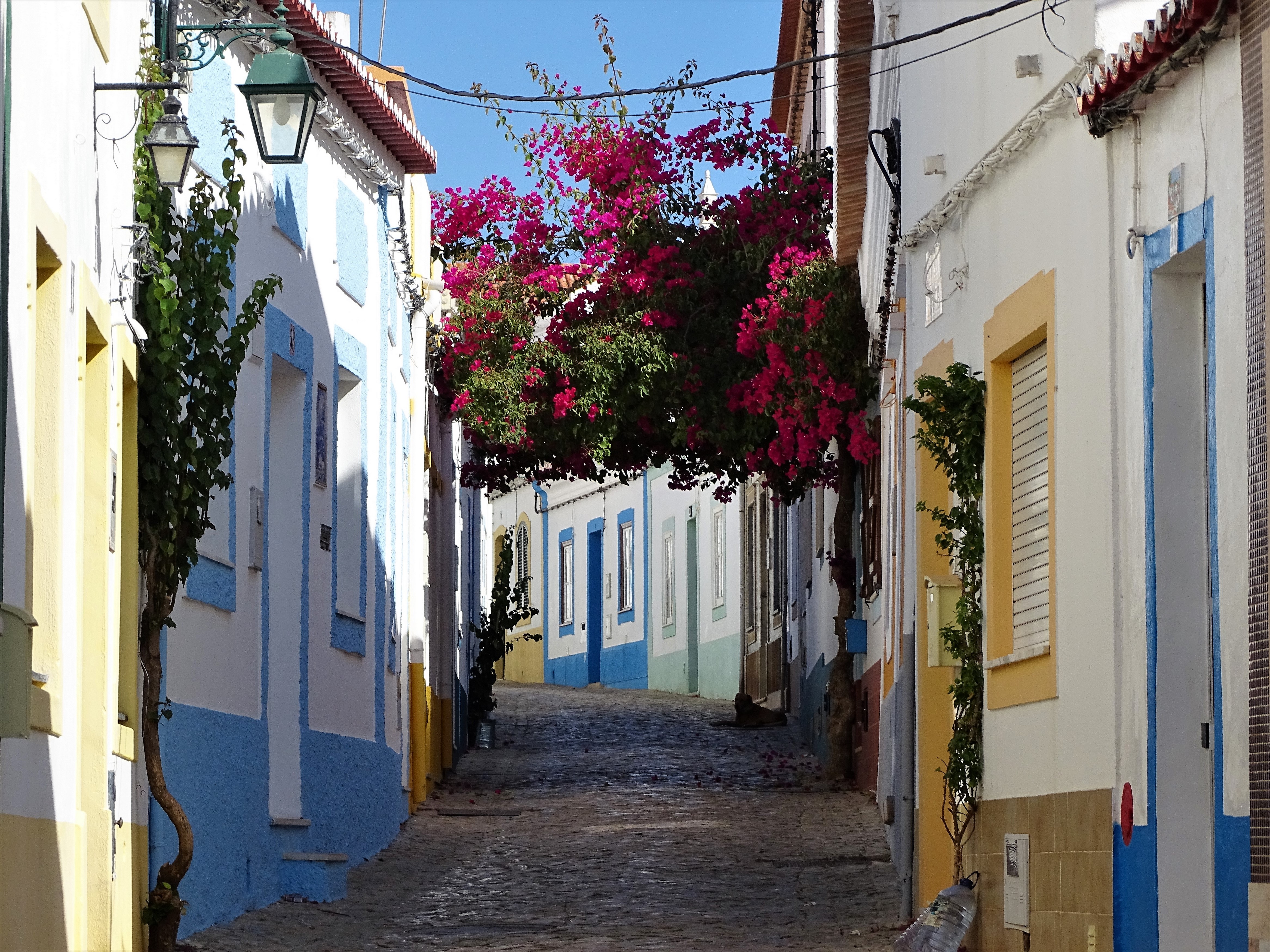 Ruelle fleurie de Ferragudo (Algarve) Portugal Ruelle fleurie de Ferragudo (Algarve) Portugal