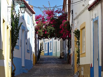 Ruelle fleurie de Ferragudo (Algarve) Portugal