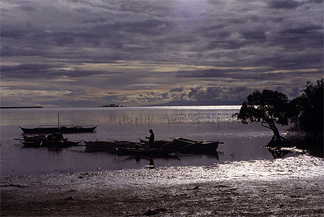 Panglao Panglao