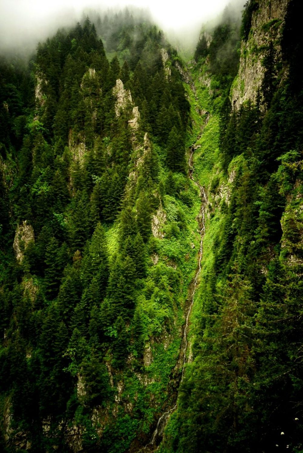 Chutes d'eau Uzuntarla