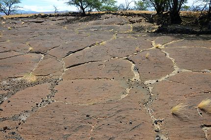 Puako pétroglyphe, Hawaii