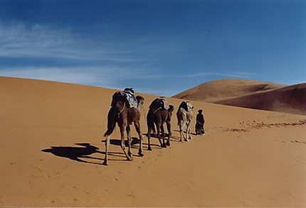 A travers le sahara