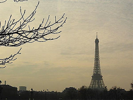 Joli Paris