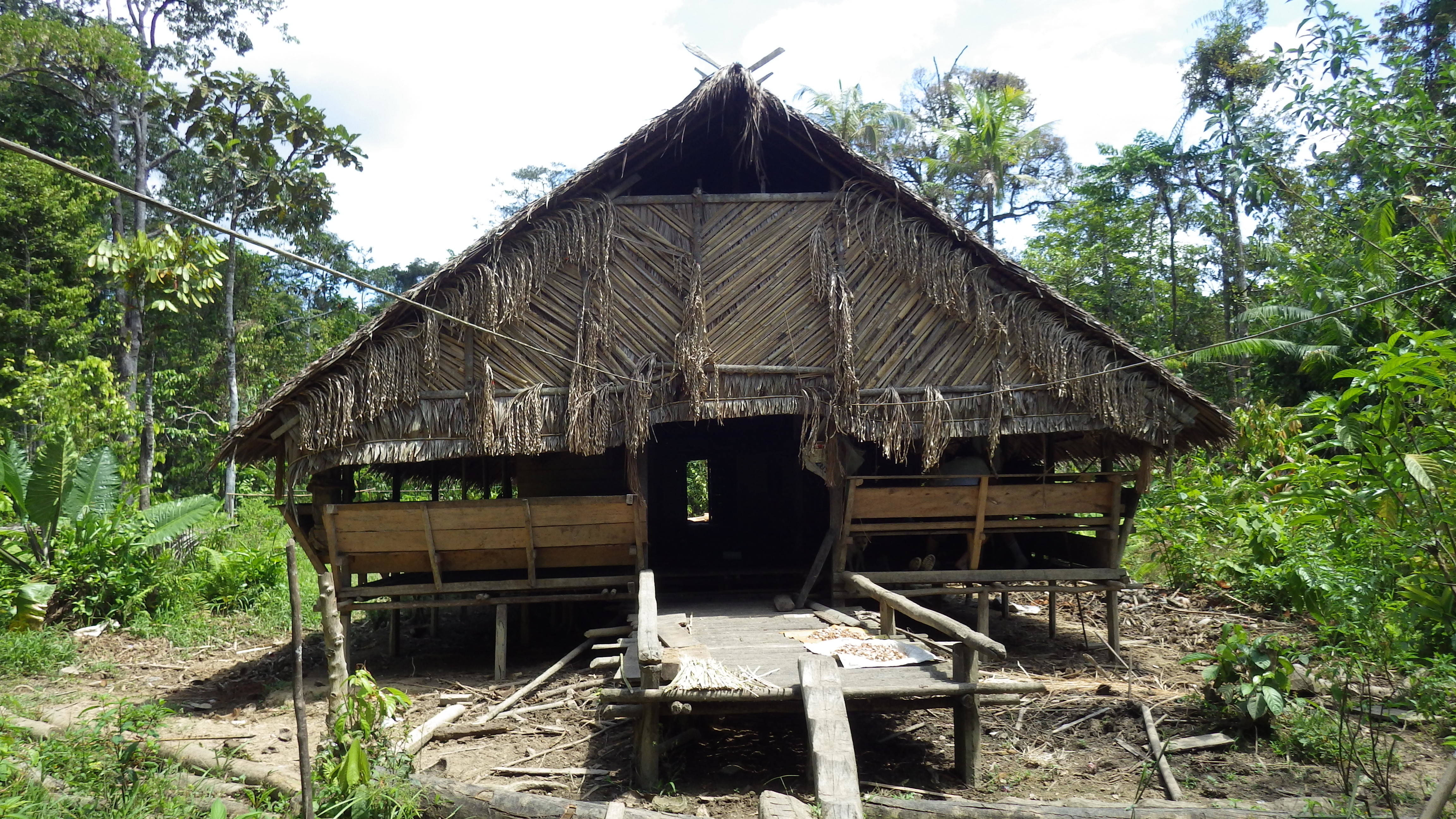 Uma - maison traditionnelle Mentawai