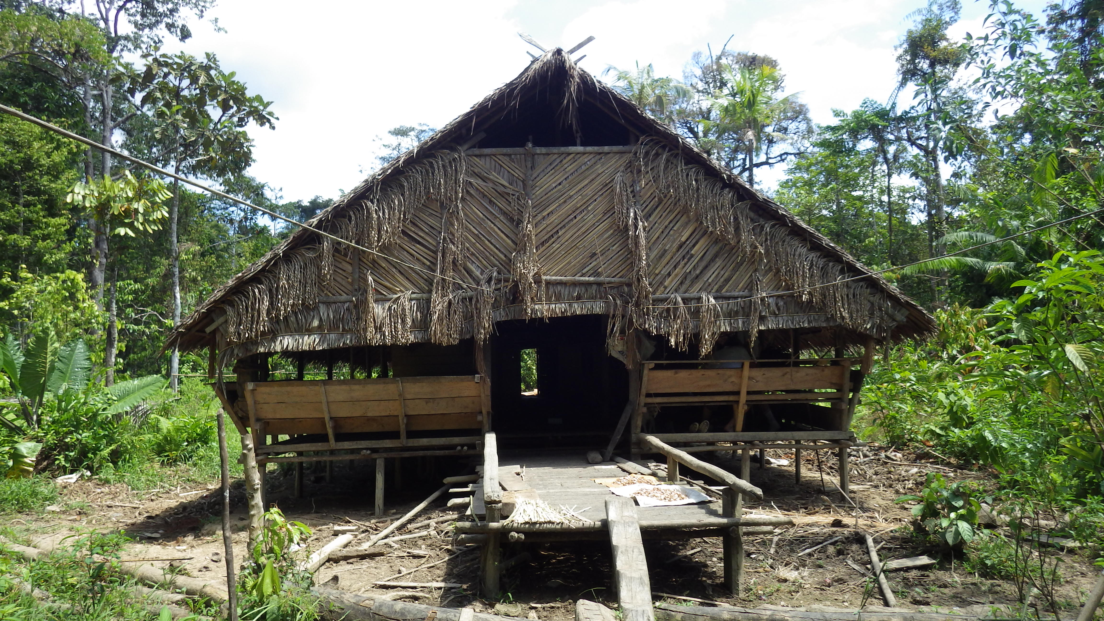 Uma - maison traditionnelle Mentawai Uma - maison traditionnelle Mentawai