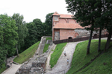 Château dans les hauteurs de Vilnius