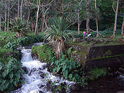 Anse des cascades