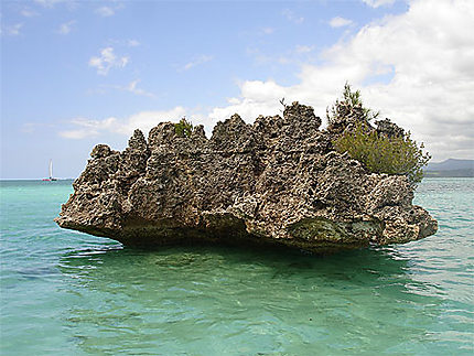 Le rocher du lagon