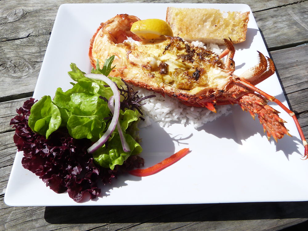 Kaikoura Langouste