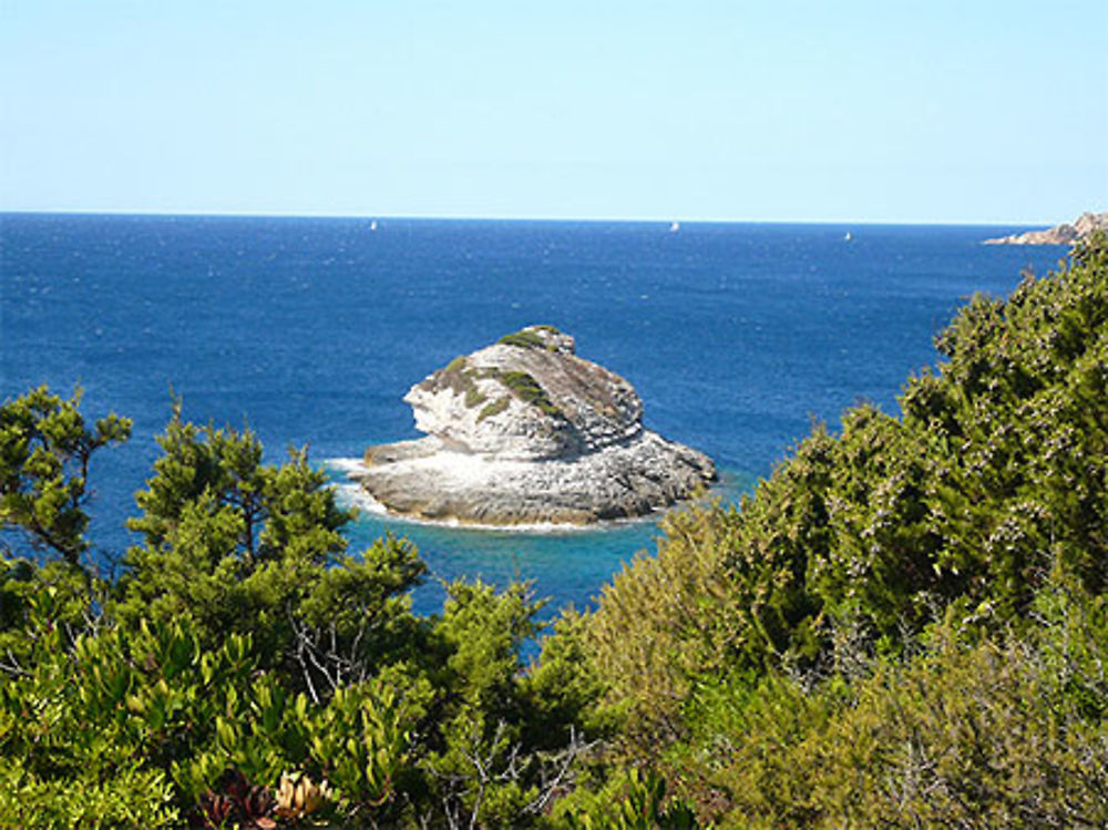 Ilot de Fazio