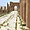 Aurès - Timgad - Decumanus maximus vers l'Arc