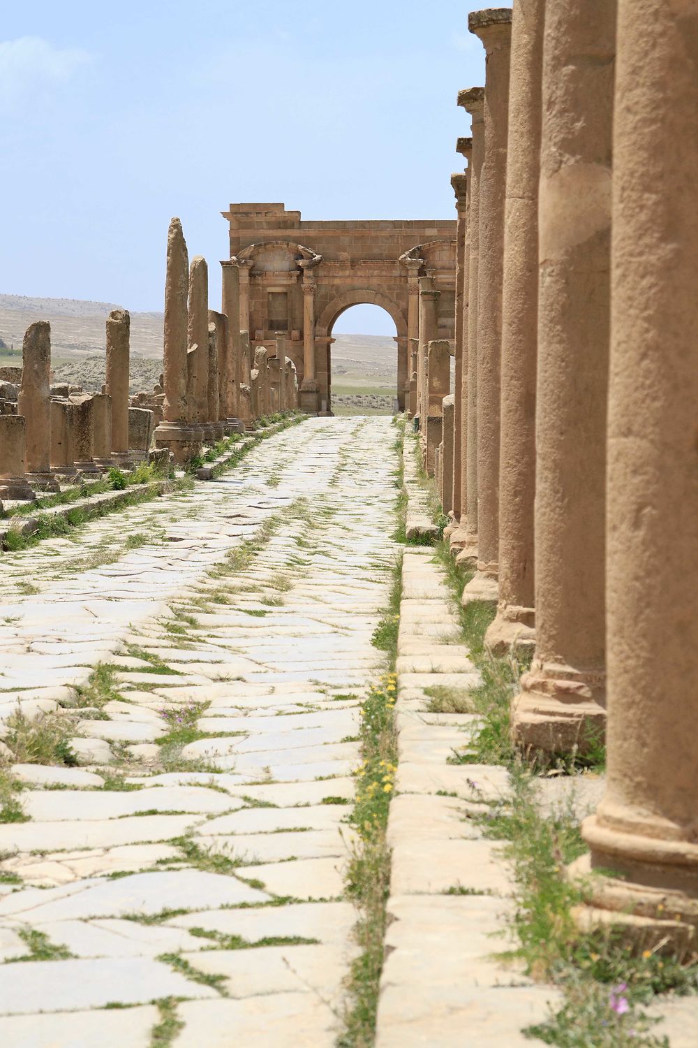 Aurès - Timgad - Decumanus maximus vers l'Arc