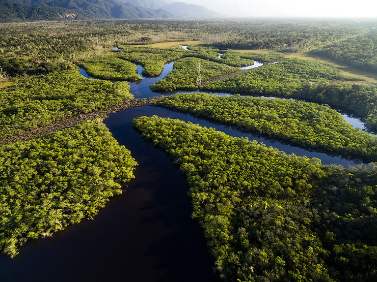 Amazonie centrale