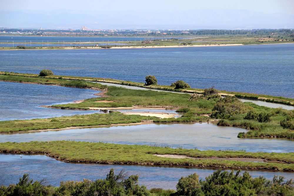 Le canal de la Robine