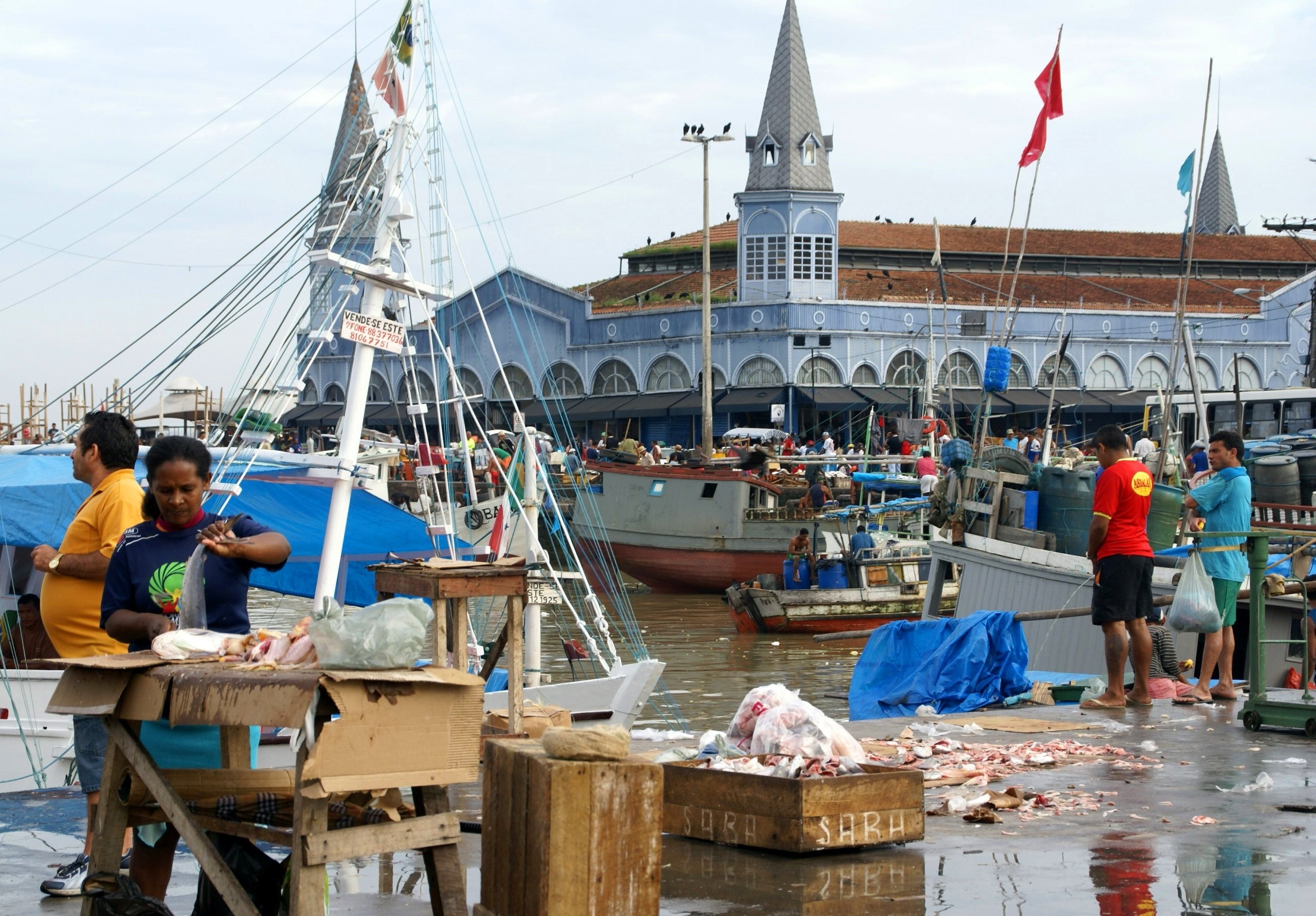Marché au poisson de Belem Marché au poisson de Belem