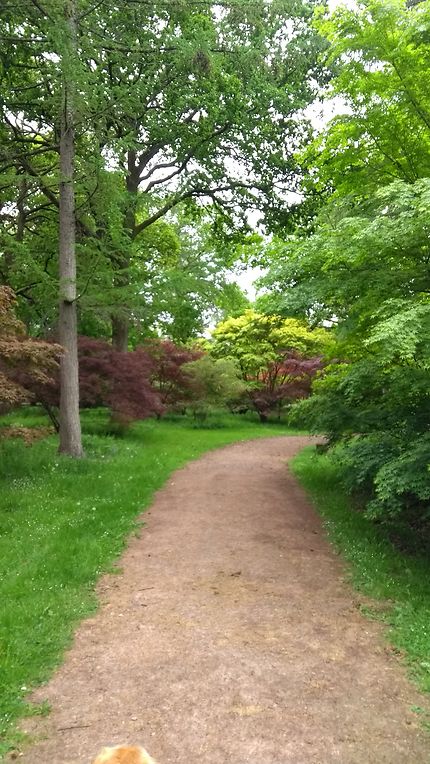 Arboretum de Westonbirt