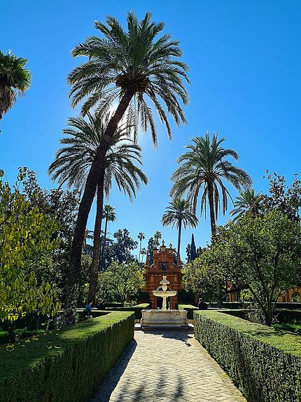 Jardin de l'Alcazar