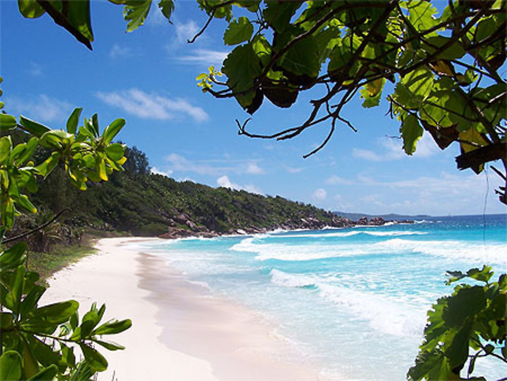 Petite Anse - La Digue