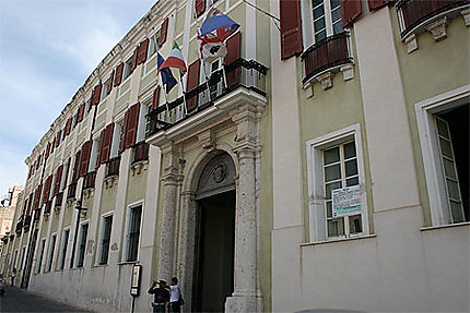 Palazzo Viceregio