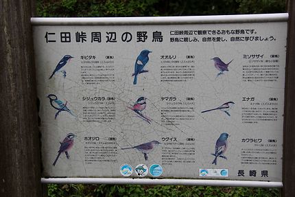 Oiseaux présents au National Park Unzen