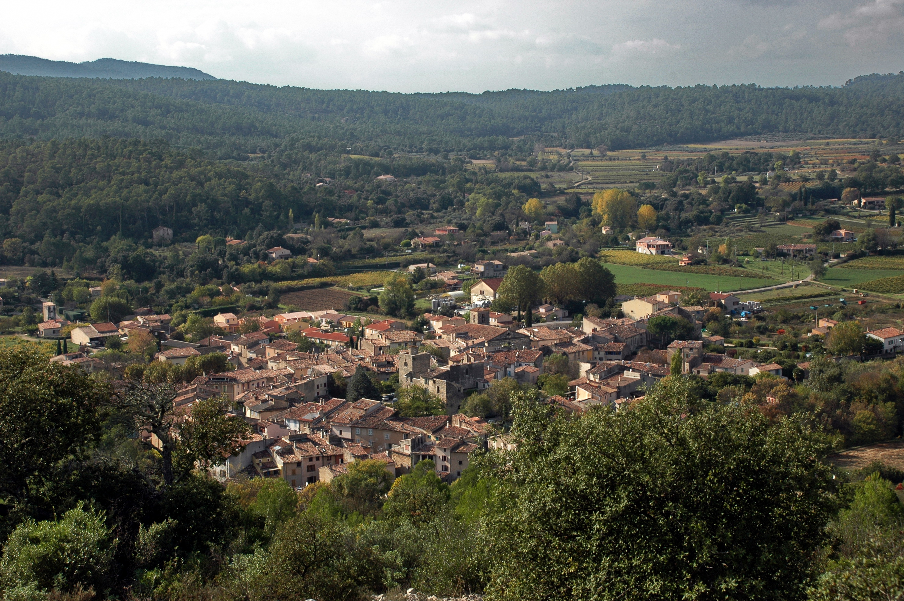 Correns Correns