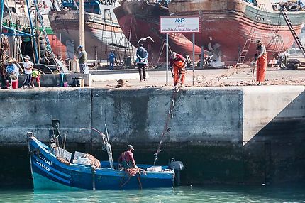 Montée du filet sur le quai au port d'Essaouira