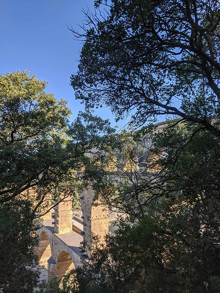 Pont du Gard caché parmi les feuilles