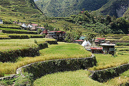 Banau rice terrace