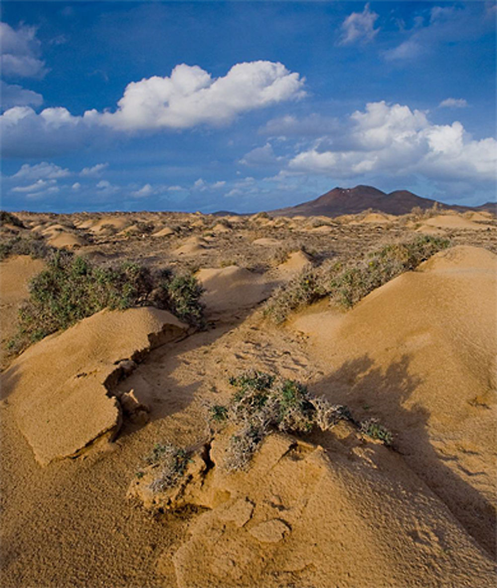 Punta de Jandia